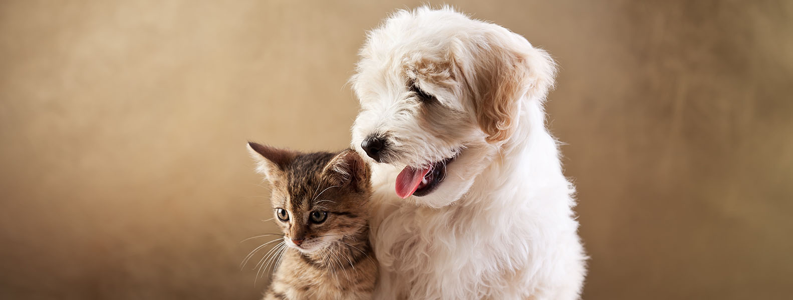  Animal Nutrition